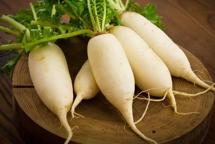 Củ cải trắng tính mát, vị ngọt, có công dụng lợi quan tiết