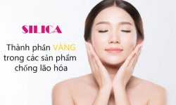 Silica chính là một chất có vai trò quan trọng trong việc sản sinh collagen và glycosaminoglycan dưới da