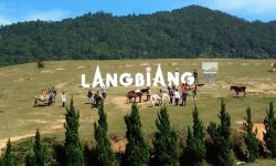 Núi Langbiang thuộc địa phận huyện Lạc Dương được ví như nóc nhà của Đà Lạt