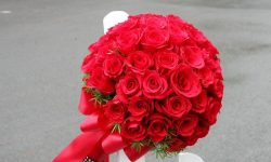 Hoa hồng đỏ dành tặng sinh nhật người yêu, vợ