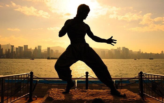 Thiệt hại từ môn thể thao karate là rất lớn, tất cả đều đánh vào các khu vực nguy hiểm. 