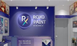 Công ty cung cấp sơn tại Hà Hội